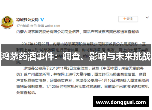 鸿茅药酒事件：调查、影响与未来挑战