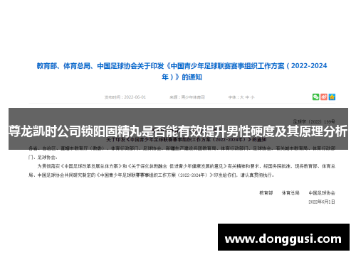 尊龙凯时公司锁阳固精丸是否能有效提升男性硬度及其原理分析