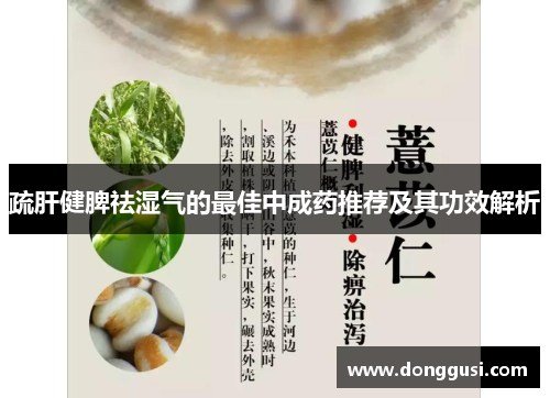 疏肝健脾祛湿气的最佳中成药推荐及其功效解析
